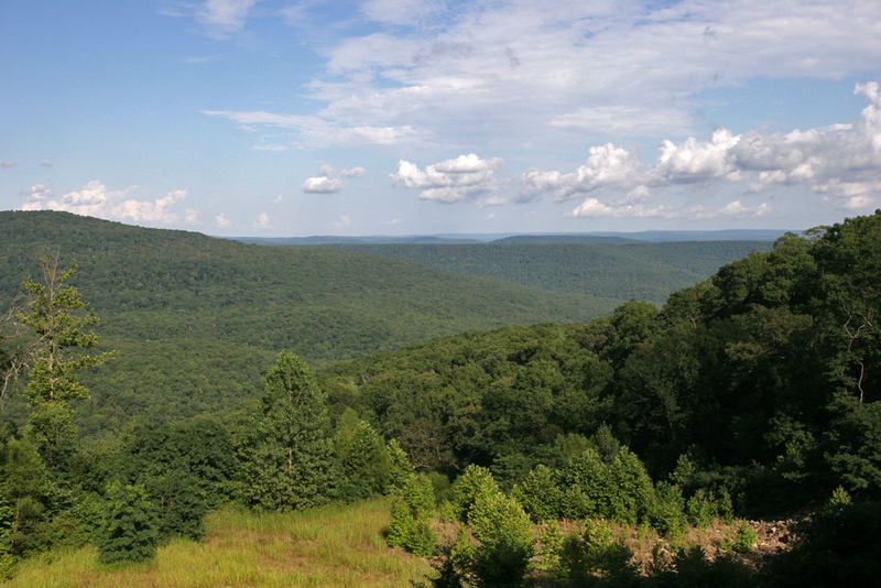 The Ozarks. Gorgeous country.